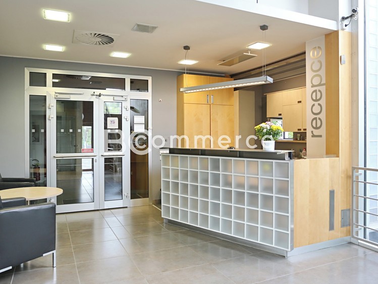 Pronájem kanceláře 247 m² - foto 8