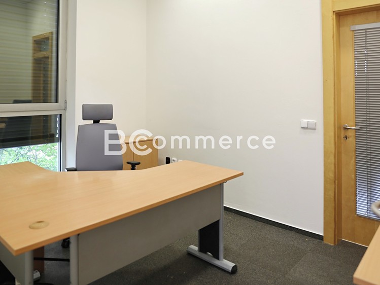 Pronájem kanceláře 247 m² - foto 6