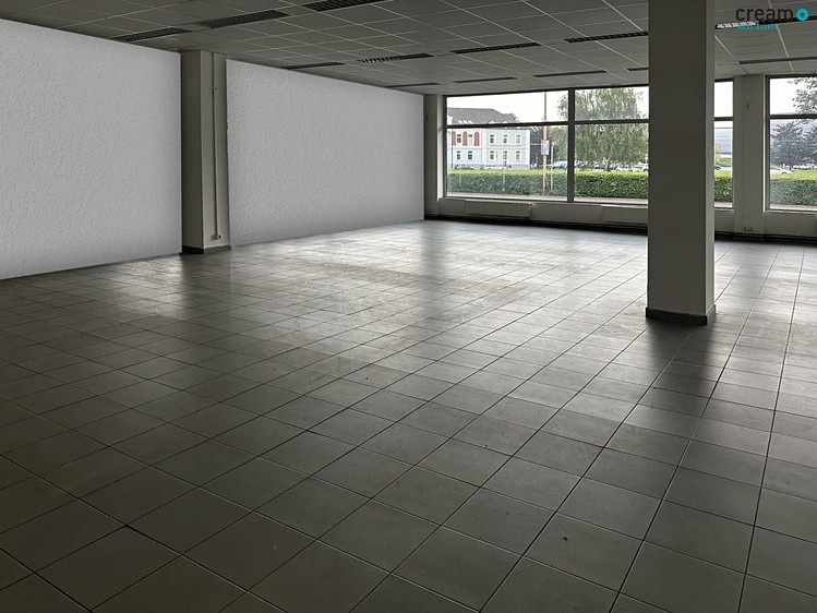 Pronájem obchodního prostoru 245 m² - foto 4
