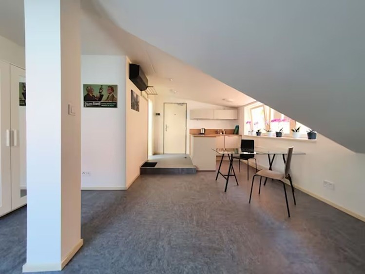 Pronájem bytu 1+kk 36 m² (Podkrovní) - foto 3