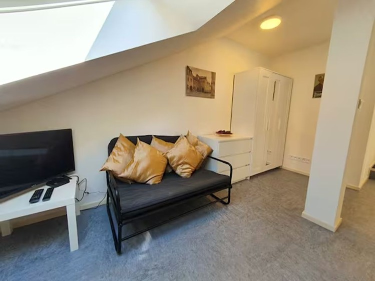 Pronájem bytu 1+kk 36 m² (Podkrovní) - foto 6
