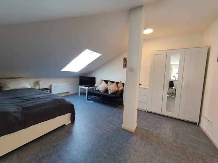 Pronájem bytu 1+kk 36 m² (Podkrovní) - foto 5