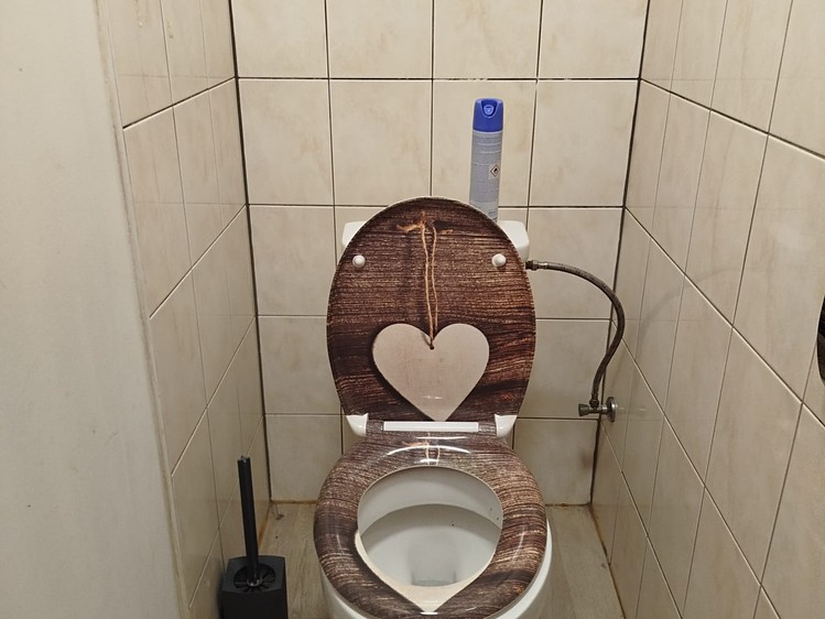Pronájem bytu 1+kk 12 m² (Podkrovní) - foto 4