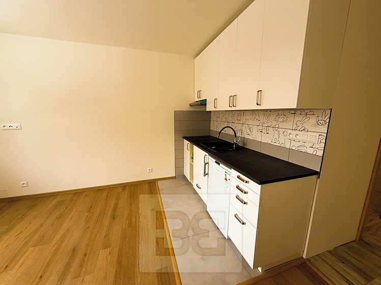 Pronájem bytu 1+kk 23 m² - foto 3