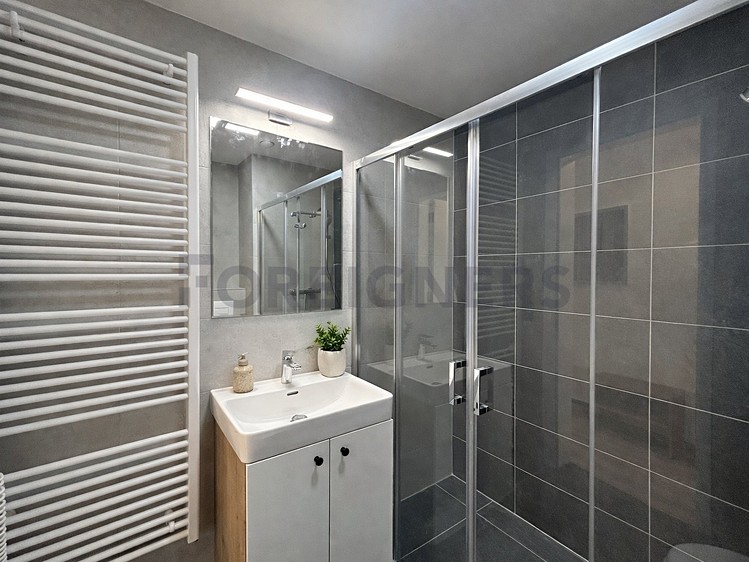 Pronájem bytu 1+kk 30 m² - foto 4