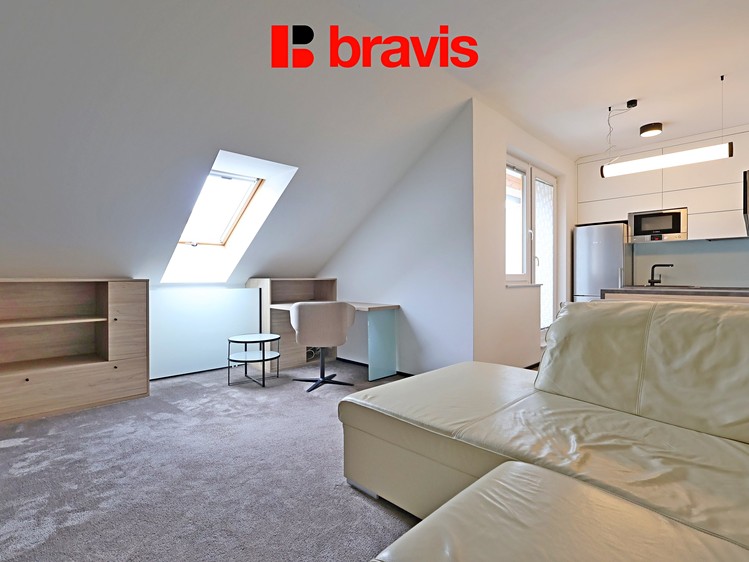 Pronájem bytu 1+kk 42 m² - foto 4