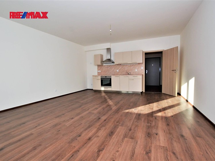 Pronájem bytu 1+kk 42 m² (Jednopodlažní) - foto 5