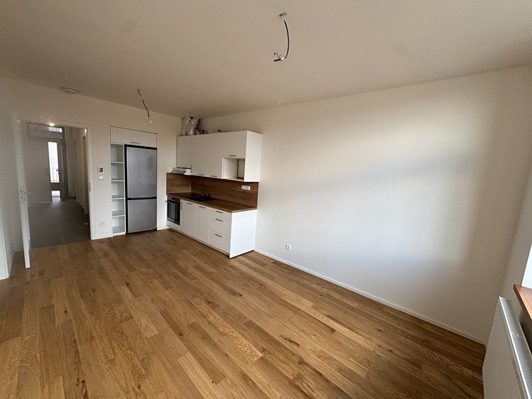 Pronájem bytu 2+kk 51 m² (Jednopodlažní) - foto 3