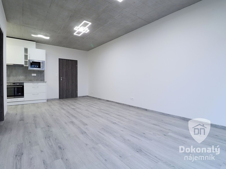 Pronájem bytu 2+kk 49 m² - foto 6
