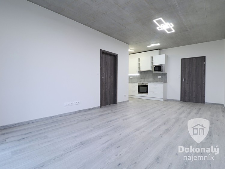 Pronájem bytu 2+kk 49 m² - foto 5
