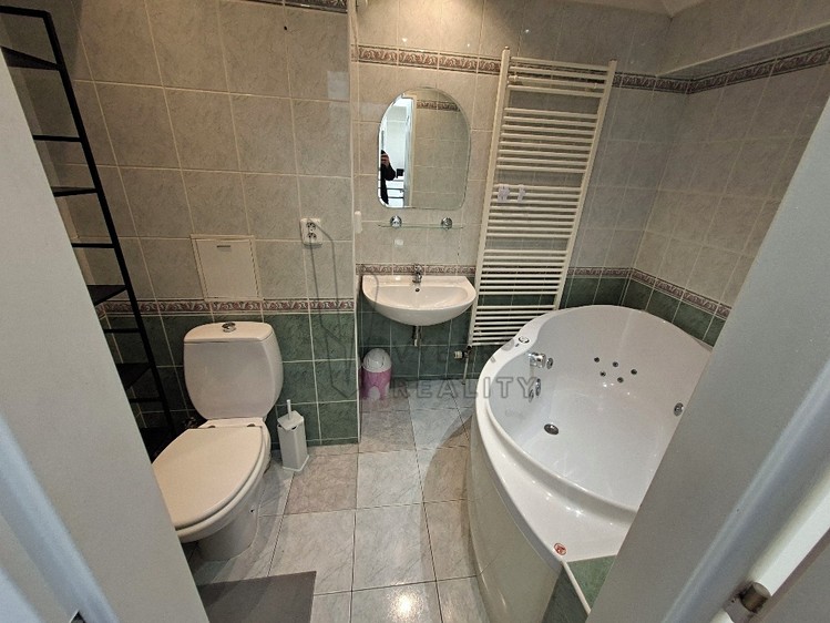 Pronájem bytu 1+1 41 m² - foto 4