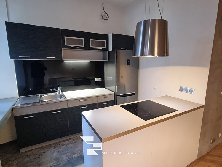 Pronájem bytu 1+kk 47 m² - foto 4