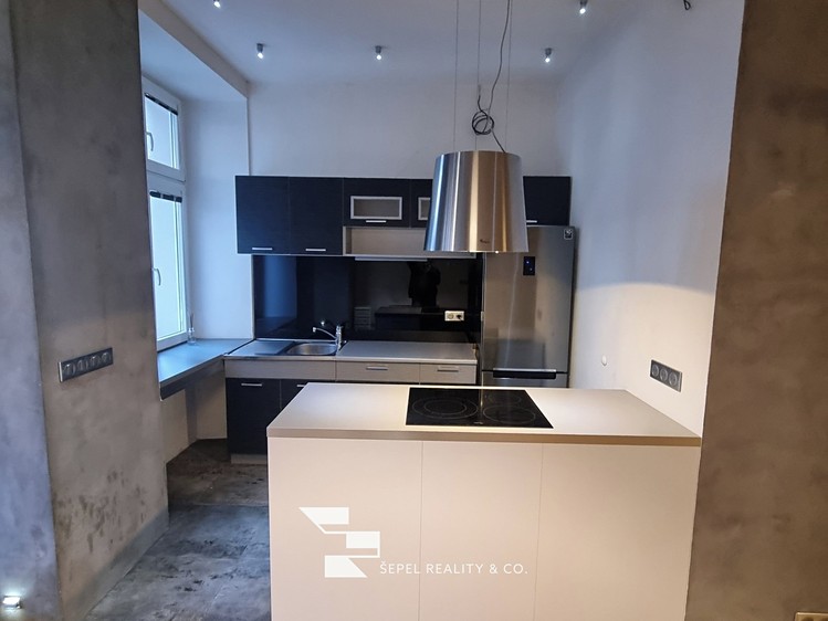 Pronájem bytu 1+kk 47 m² - foto 5