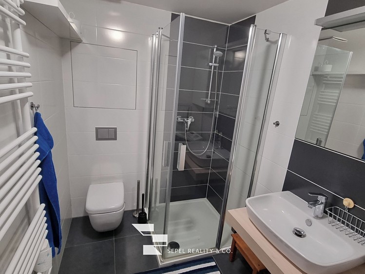 Pronájem bytu 1+kk 24 m² - foto 3