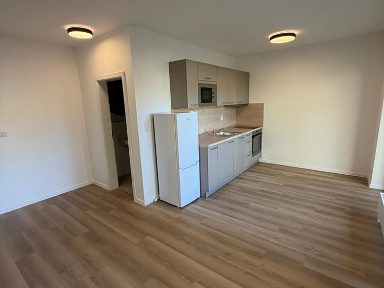 Pronájem bytu 1+kk 26 m² (Jednopodlažní) - foto 2