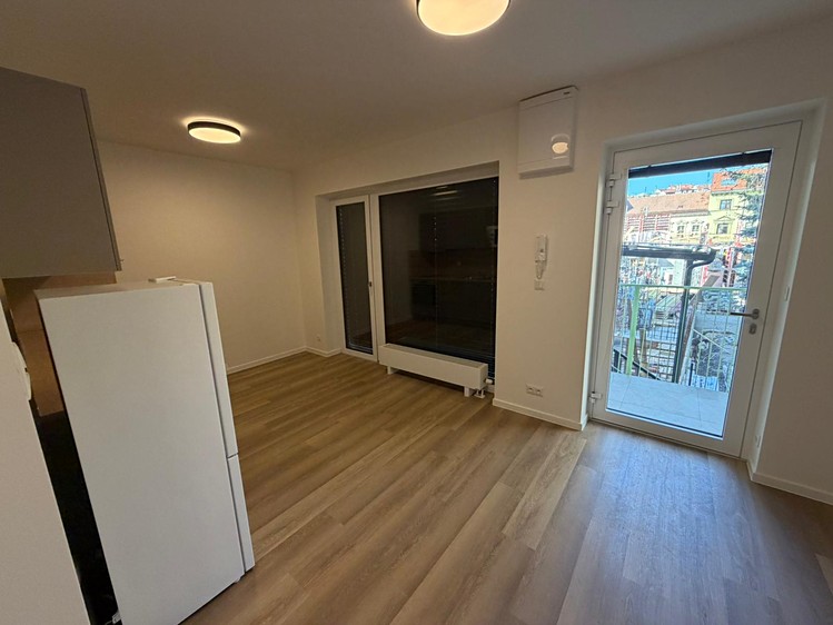 Pronájem bytu 1+kk 26 m² (Jednopodlažní) - foto 5