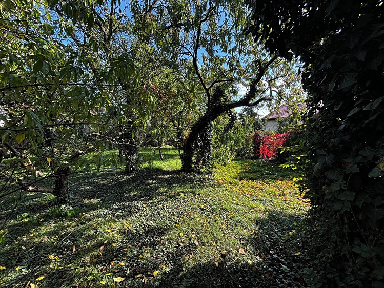 Prodej rodinného domu 180 m², pozemek 598 m² - foto 4