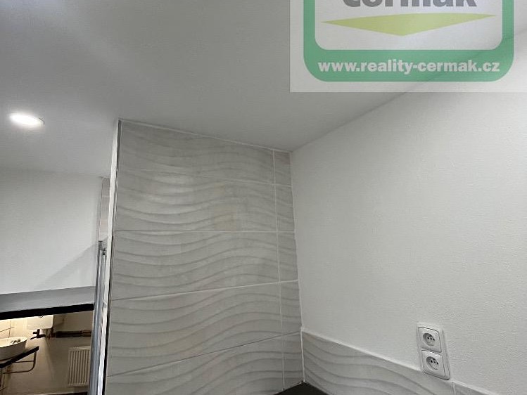 Pronájem rodinného domu 220 m², pozemek 240 m² - foto 7