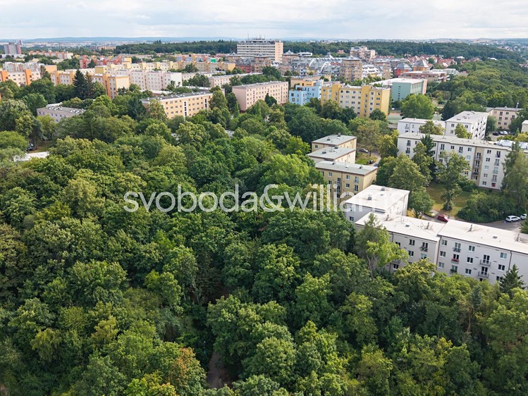 Prodej  pozemku 12 337 m² - foto 4