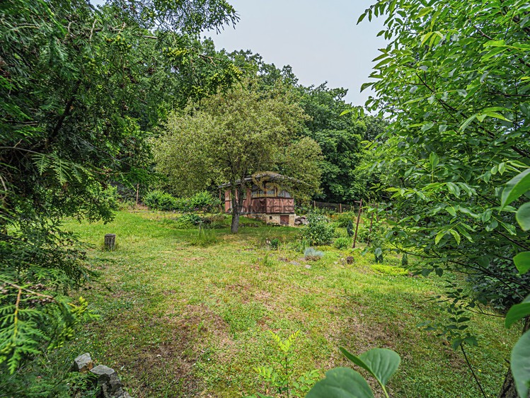 Prodej zahrady 431 m² - foto 4