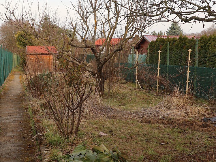 Prodej zahrady 237 m² - foto 4