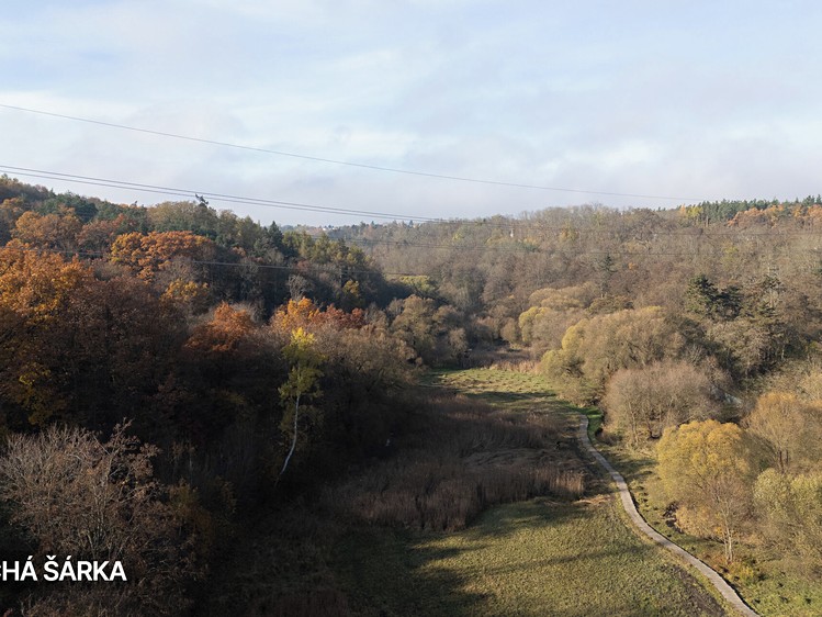 Prodej stavebního pozemku 550 m² - foto 6