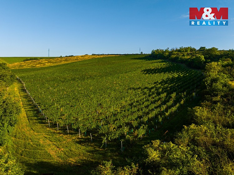 Prodej sadu, vinice 56 699 m² - foto 8
