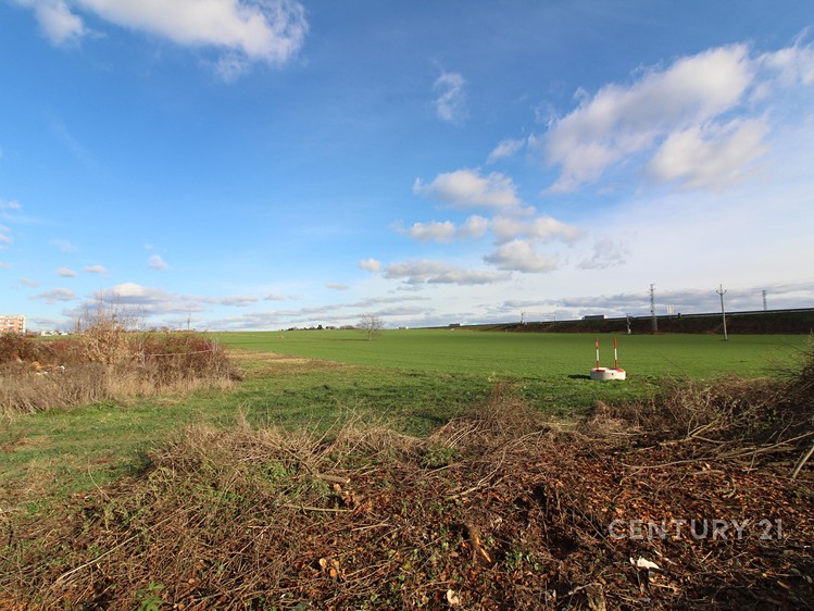 Pronájem komerčního pozemku 11 550 m² - foto 3