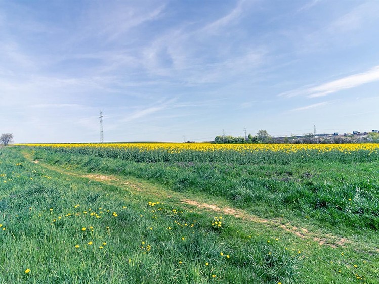 Prodej stavebního pozemku 7 355 m² - foto 6
