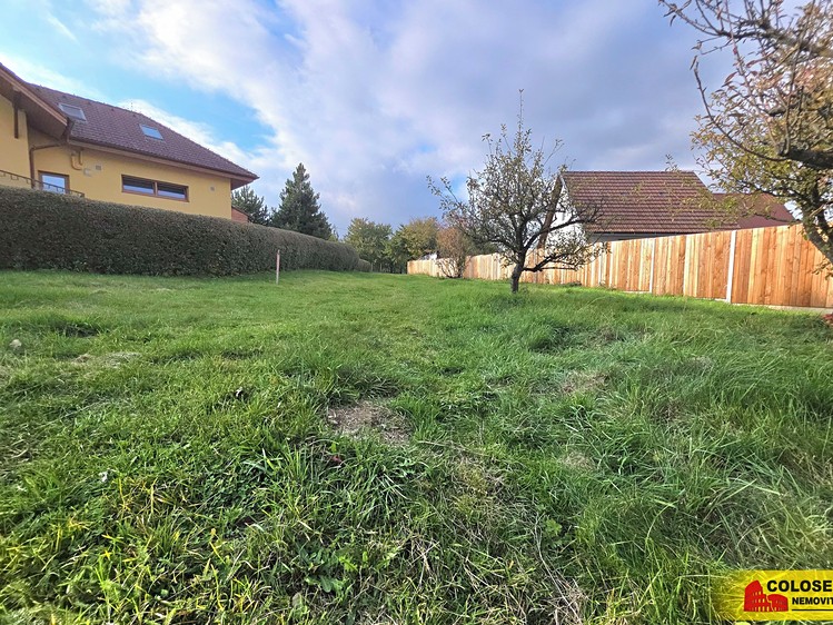 Pronájem zahrady 1 471 m² - foto 5