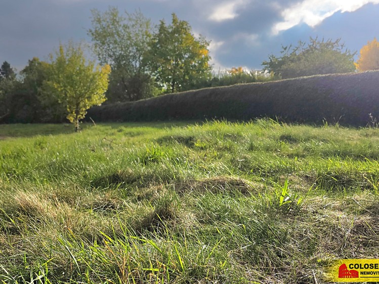 Pronájem zahrady 1 471 m² - foto 6