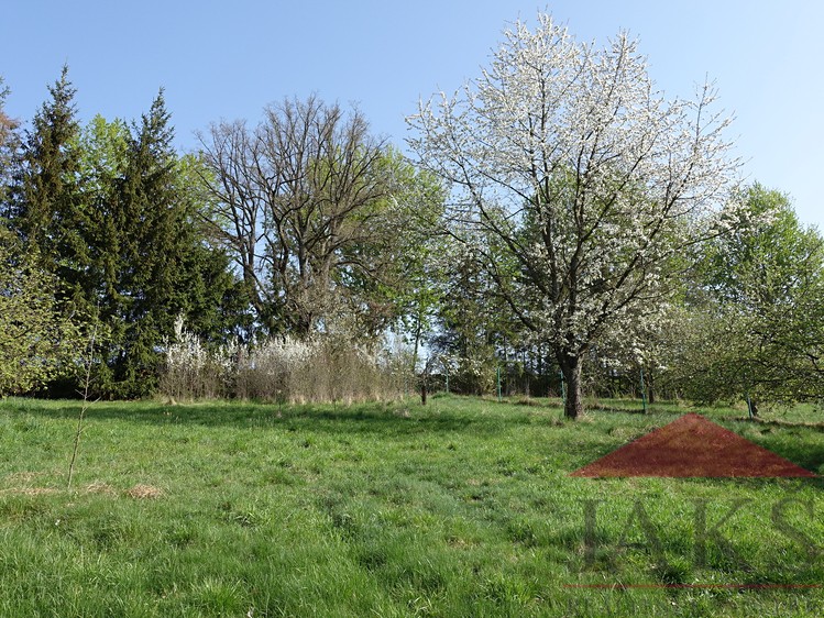 Pronájem zahrady 2 267 m² - foto 6