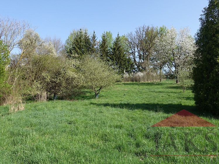 Pronájem zahrady 2 267 m² - foto 5