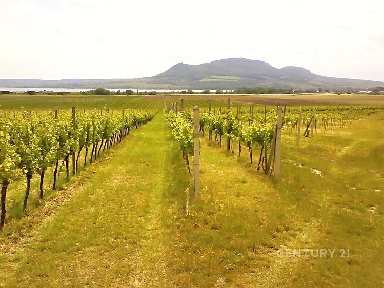 Prodej komerční nemovitosti 200 m² - foto 2
