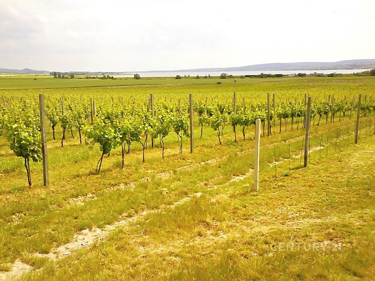 Prodej komerční nemovitosti 200 m² - foto 4