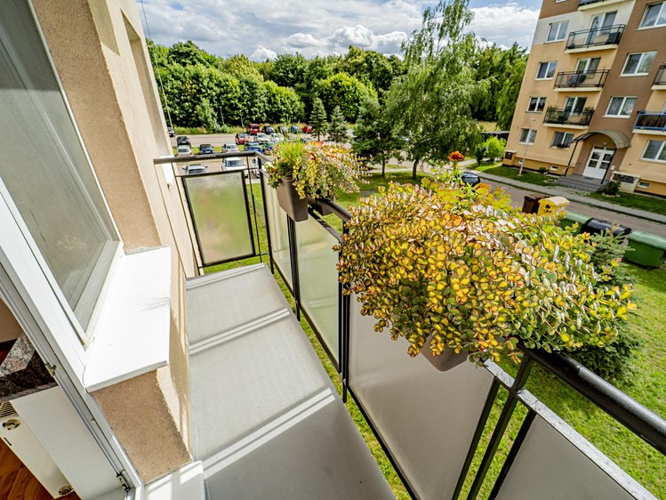 Prodej bytu 2+1 50 m² (Jednopodlažní) - foto 3