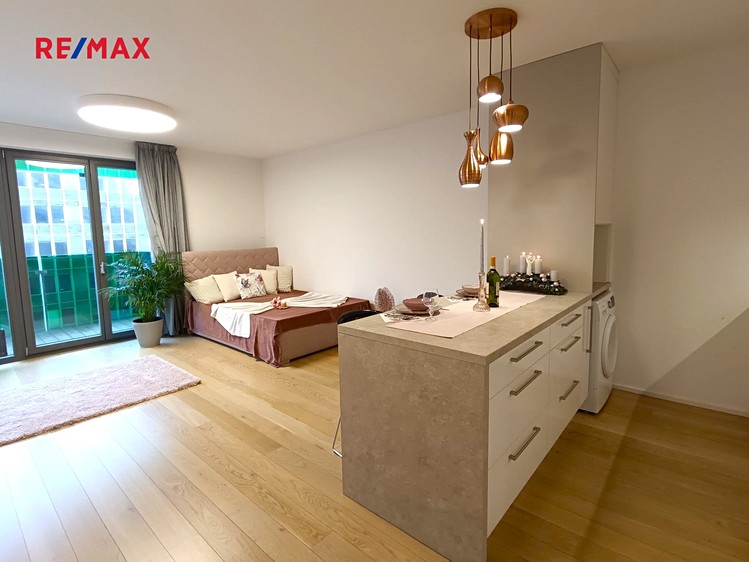 Pronájem bytu 1+kk 40 m² (Jednopodlažní) - foto 2