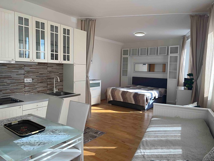 Pronájem bytu 1+kk 38 m² (Jednopodlažní) - foto 5