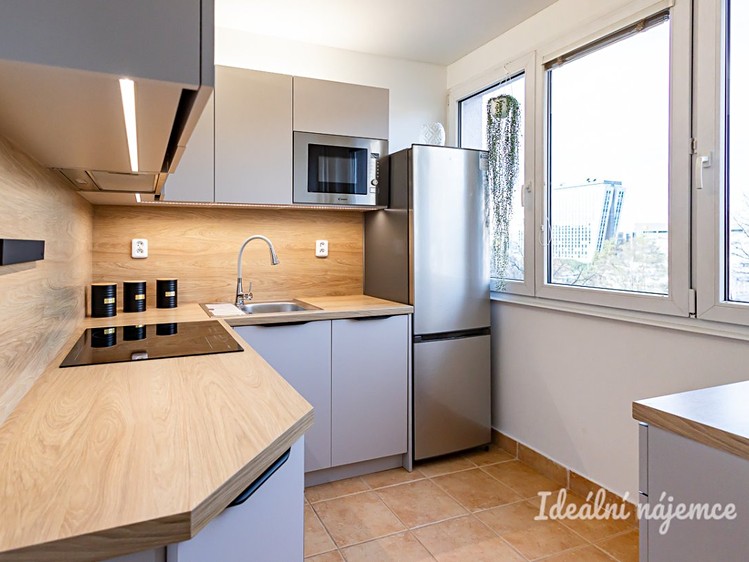 Pronájem bytu 2+1 49 m² - foto 4