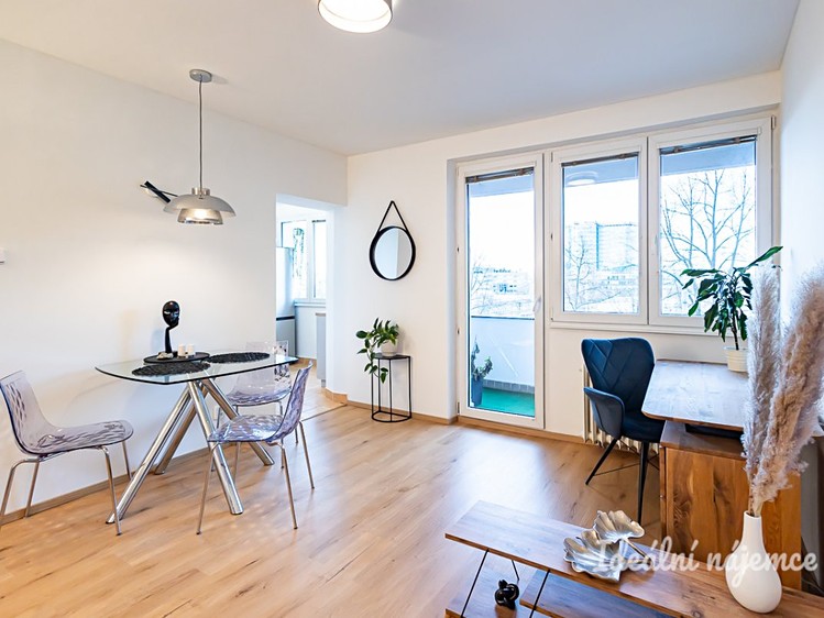 Pronájem bytu 2+1 49 m² - foto 8