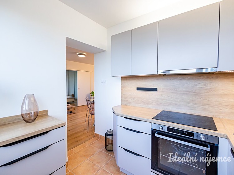 Pronájem bytu 2+1 49 m² - foto 5