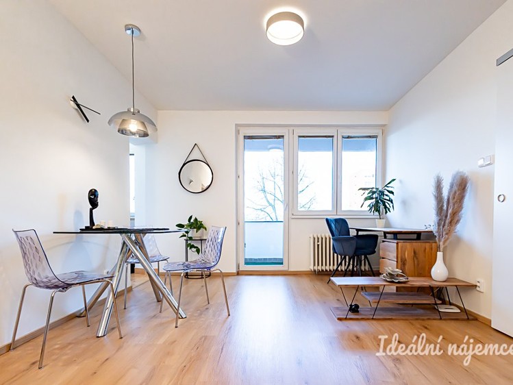 Pronájem bytu 2+1 49 m² - foto 6