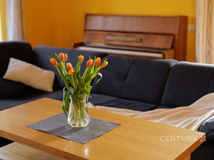 Prodej rodinného domu 242 m², pozemek 1 m² - foto 6