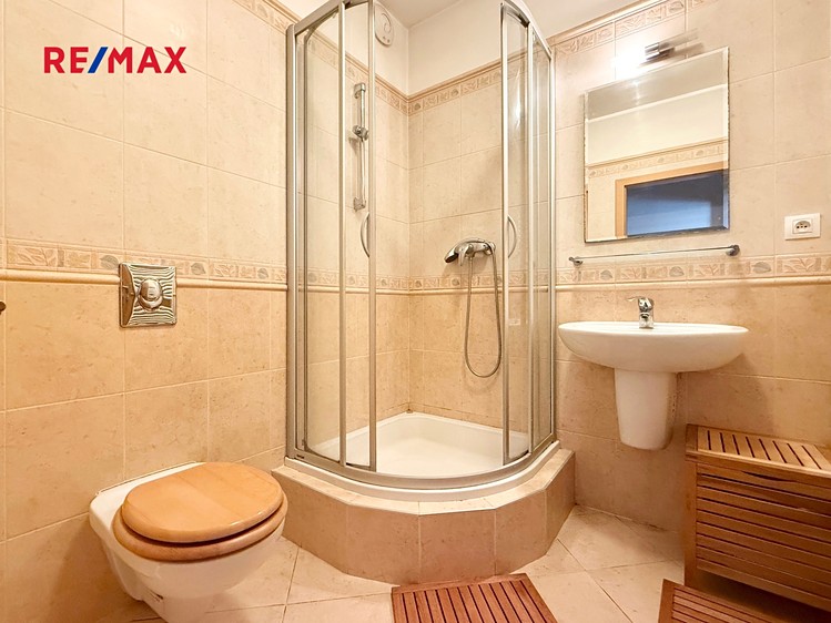Prodej rodinného domu 320 m², pozemek 105 m² - foto 8