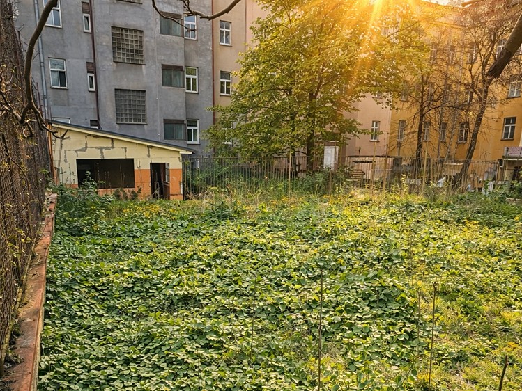 Prodej stavebního pozemku 430 m² - foto 1