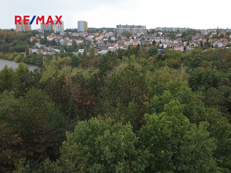 Prodej podílu 1/4 pozemku 1 144 m² - foto 4