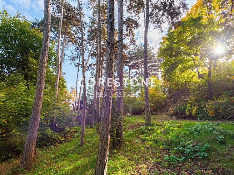 Prodej stavebního pozemku 1 429 m² - foto 4