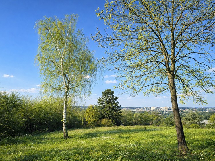 Prodej  pozemku 594 m² - foto 3