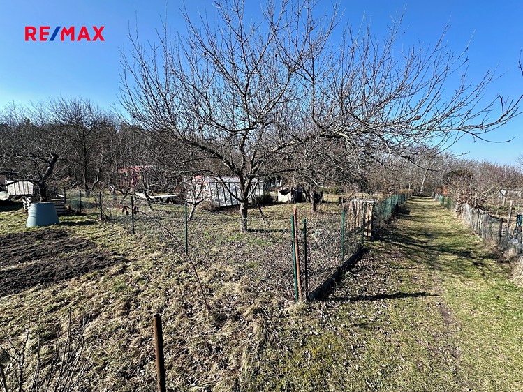 Prodej zahrady 319 m² - foto 1