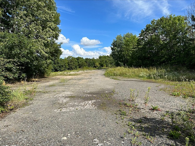 Pronájem pozemku 100 m² - foto 7